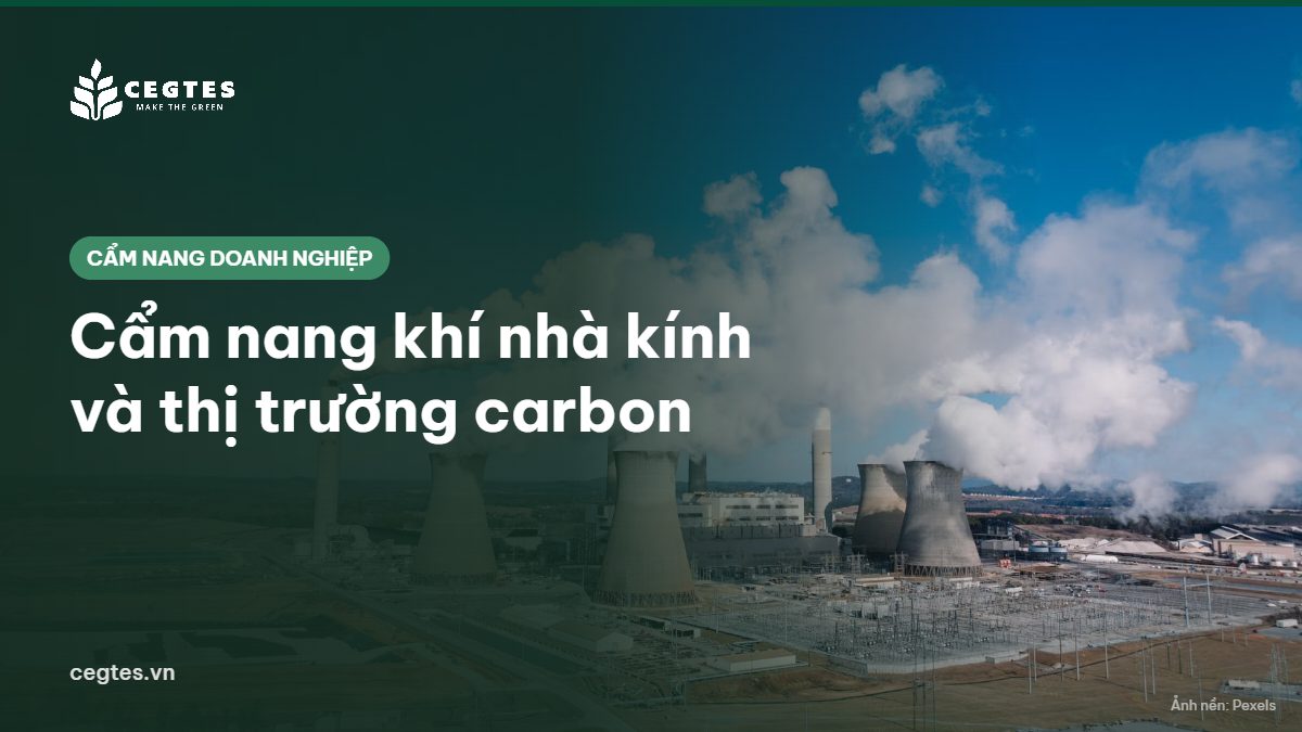 Cẩm nang khí nhà kính và thị trường carbon cho doanh nghiệp của CEGTES