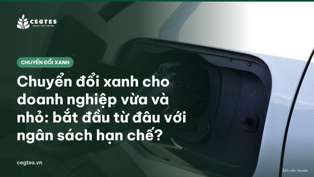 Sạc xe điện dưới ánh nắng, minh họa chuyển đổi xanh trong doanh nghiệp