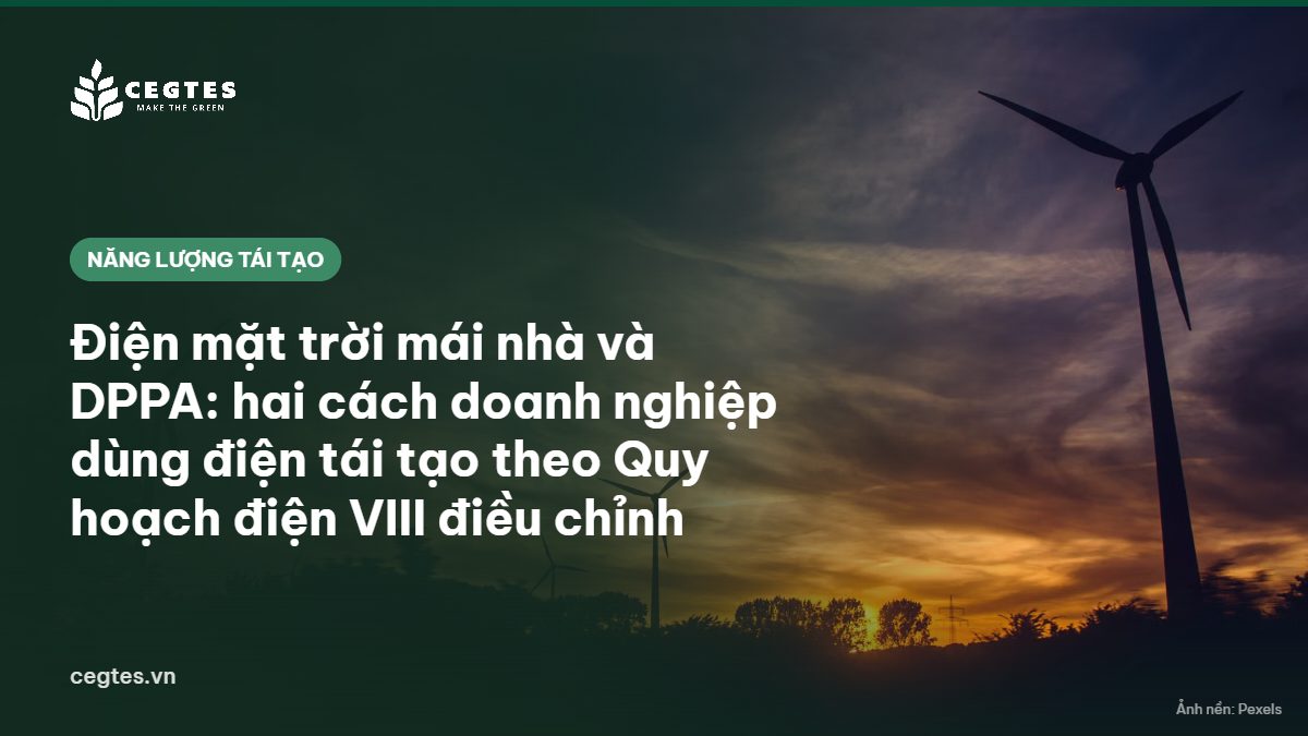 Tấm pin năng lượng mặt trời trên mái nhà, minh họa doanh nghiệp sử dụng điện tái tạo
