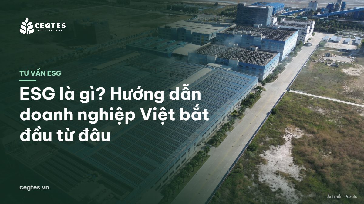 Mái nhà xưởng lắp pin năng lượng mặt trời nhìn từ trên cao, minh họa doanh nghiệp thực hành ESG