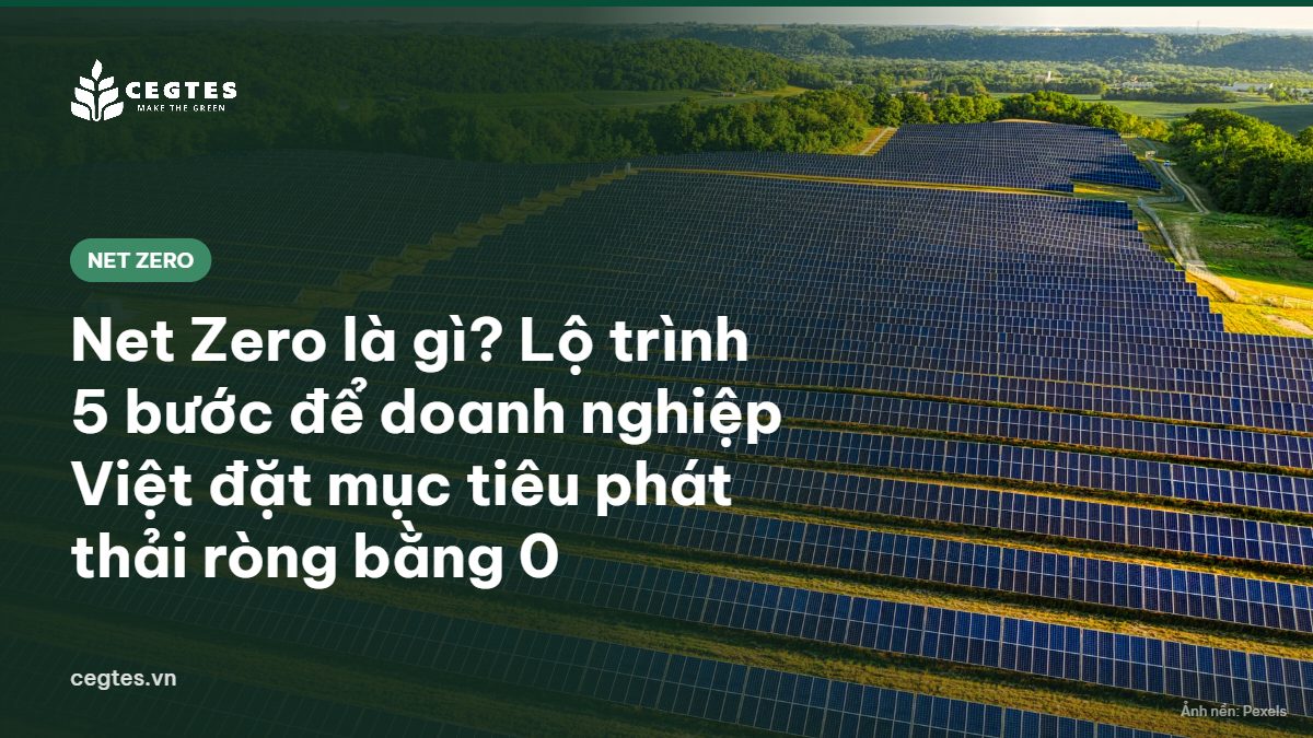 Cánh đồng điện mặt trời nhìn từ trên cao, minh họa lộ trình Net Zero của doanh nghiệp
