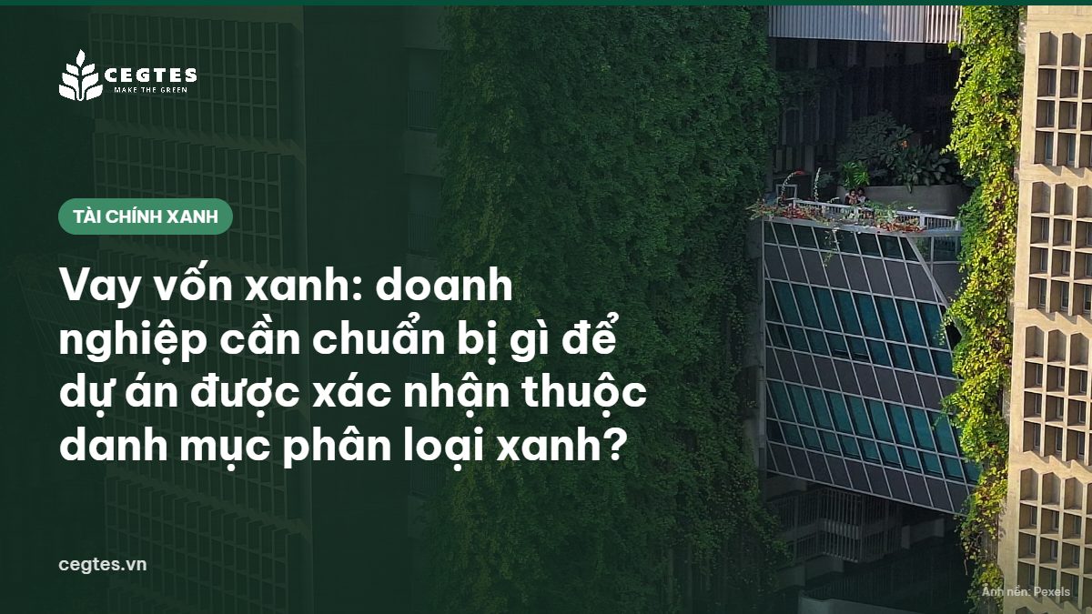 Tòa nhà có tường cây xanh, minh họa dự án công trình xanh tiếp cận tài chính xanh
